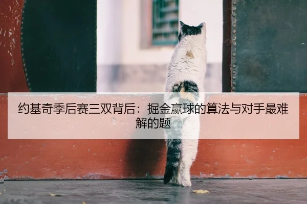 约基奇季后赛三双背后：掘金赢球的算法与对手最难解的题